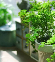 鹤岗专属于你的开运指南，助你鸿运当头福满身！